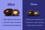 Dark Chocolate-Covered Almonds I7