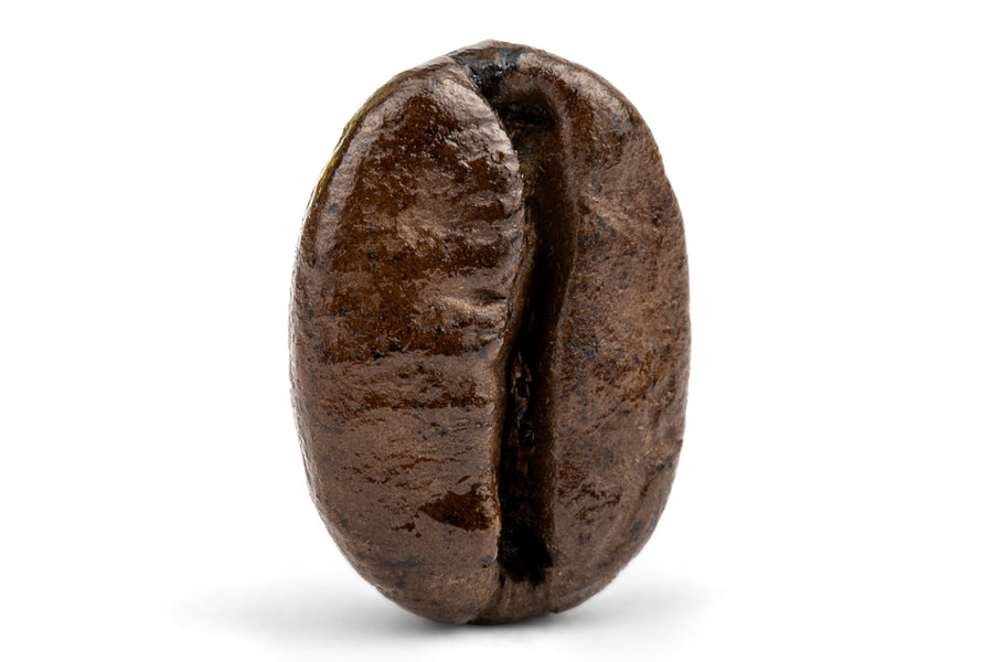 Decaf Colombian Medellin Supremo Coffee P3