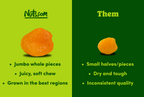 Dried Apricots B6