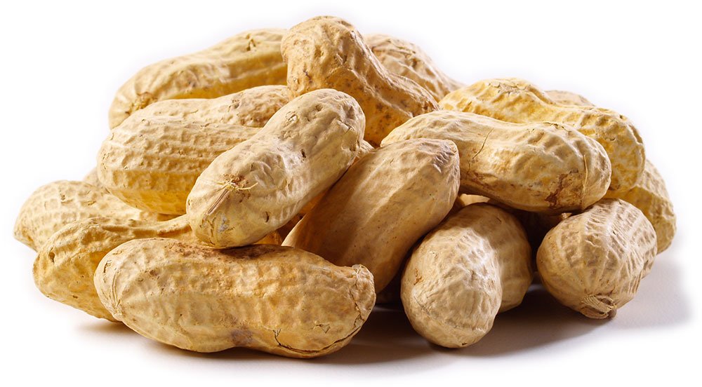 Jumbo Raw Peanuts (In Shell) Z8