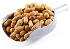 Jumbo Raw Peanuts (In Shell) Z8