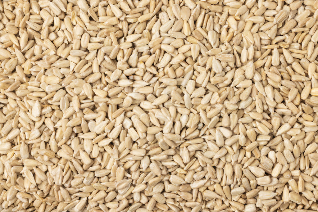 Organic Domestic Sunflower Seeds (Raw, No Shell) F9