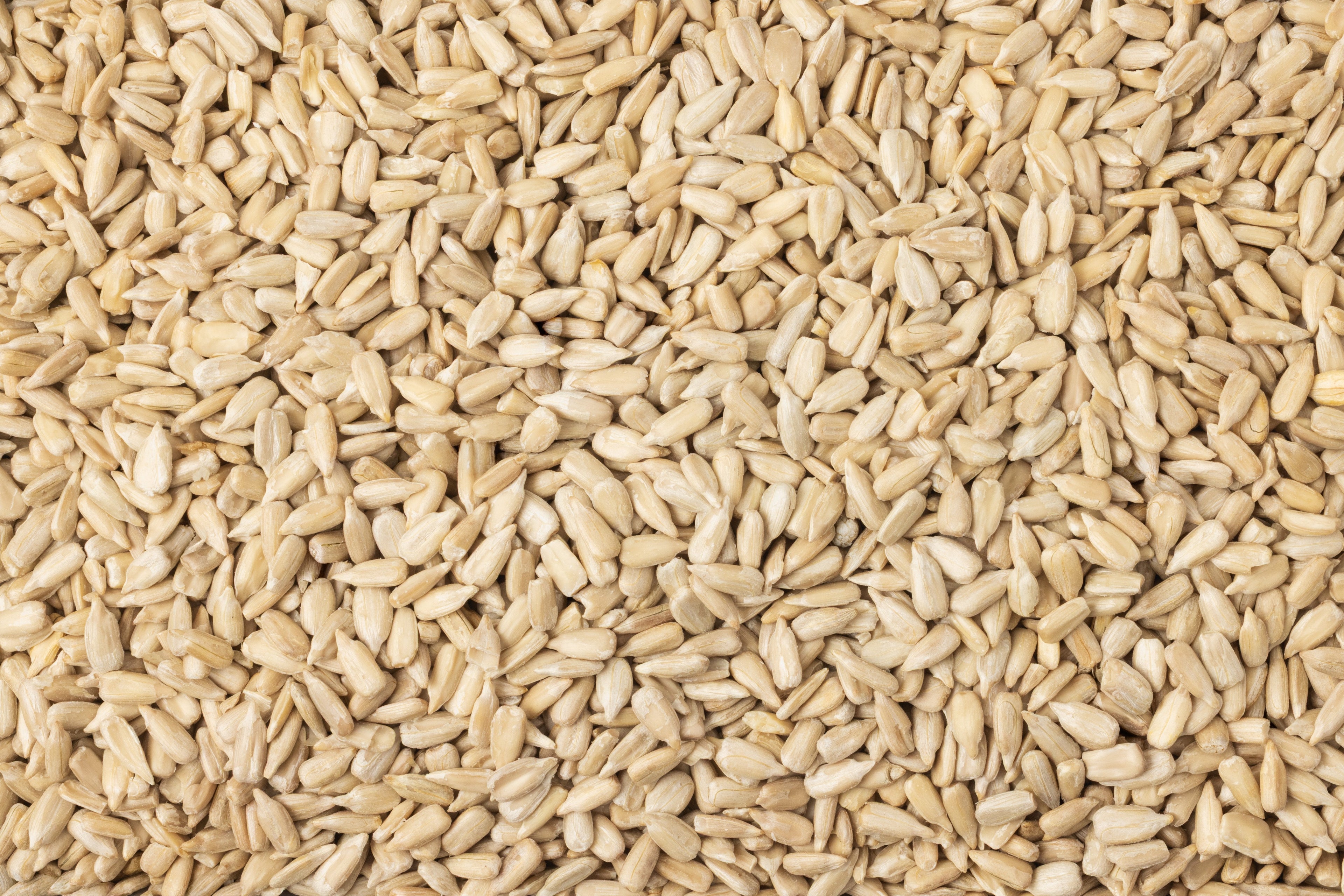 Organic Domestic Sunflower Seeds (Raw, No Shell) F9