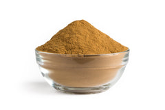 Organic Reishi Mushroom Powder S9