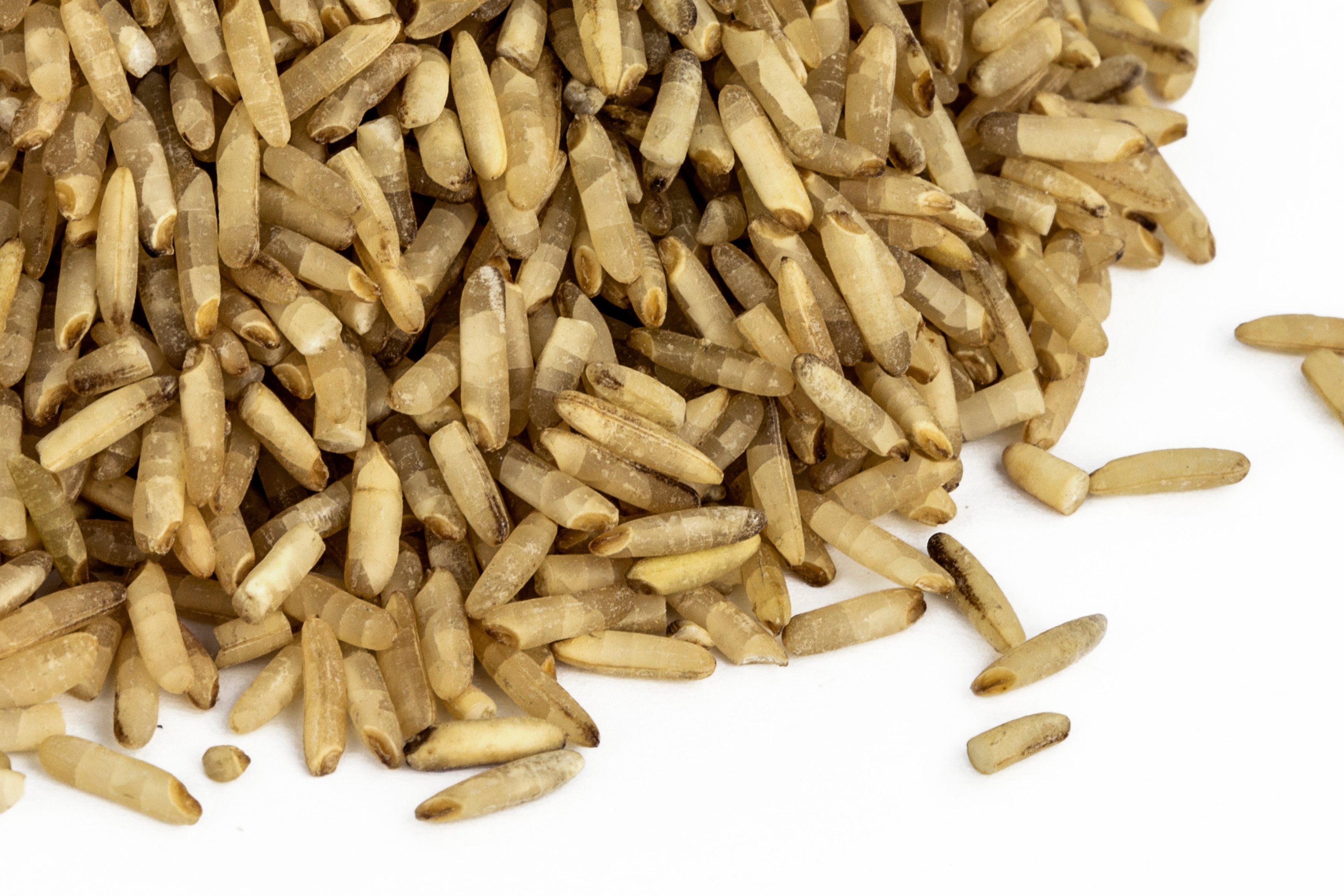 Organic Sprouted Brown Rice S2