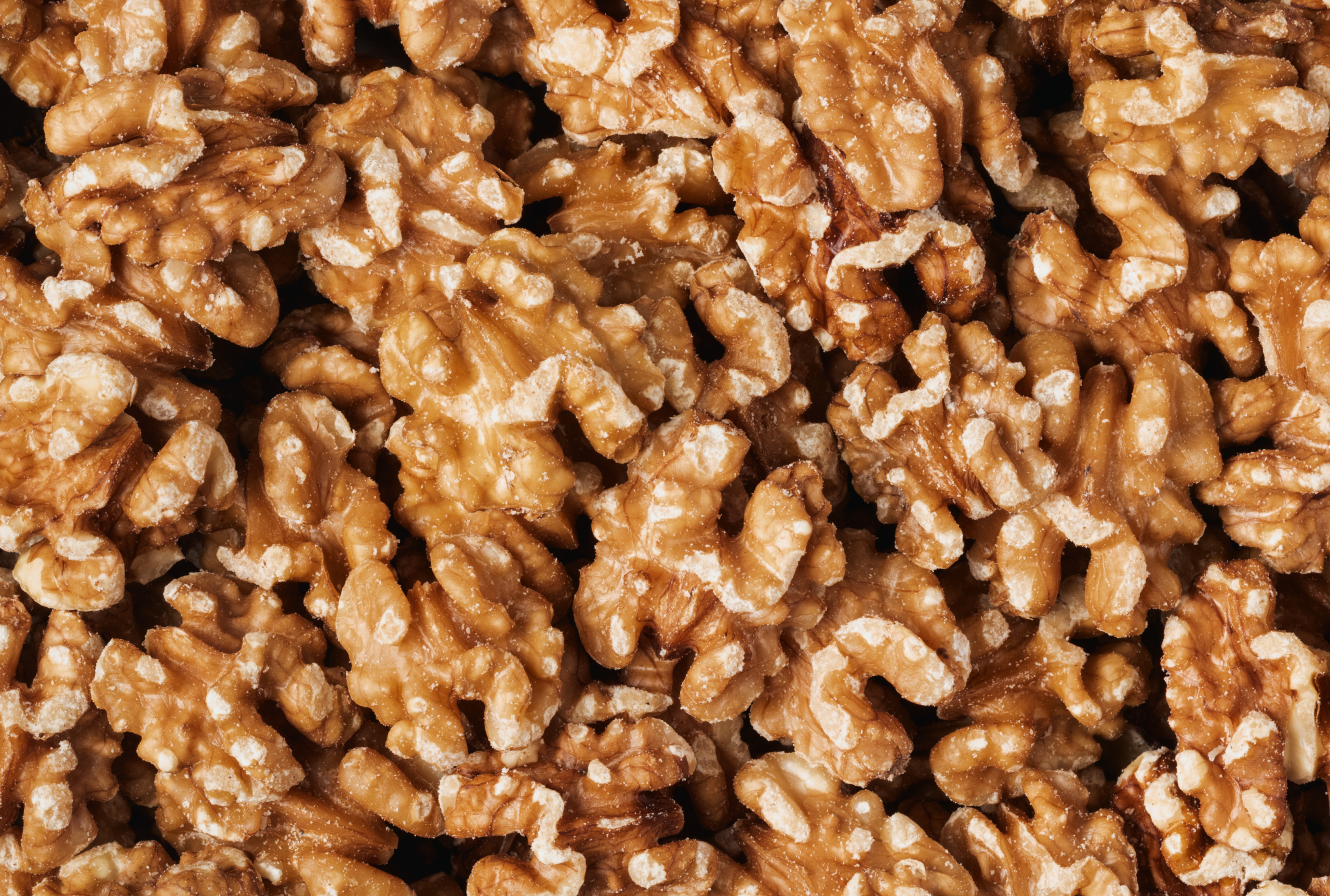 Organic Walnuts (Raw, No Shell) U9