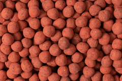 Strawberry Dusted Dark Chocolate Covered Hazelnuts X7